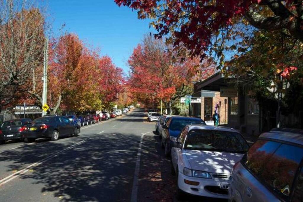 Nuach Cottage - Beautiful Family Home In Leura Kültér fotó